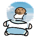 meme duidi